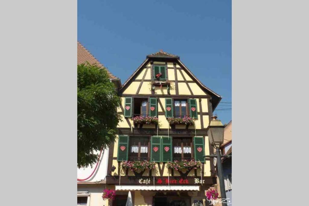 Coeur Alsace Apartamento Colmar Exterior foto