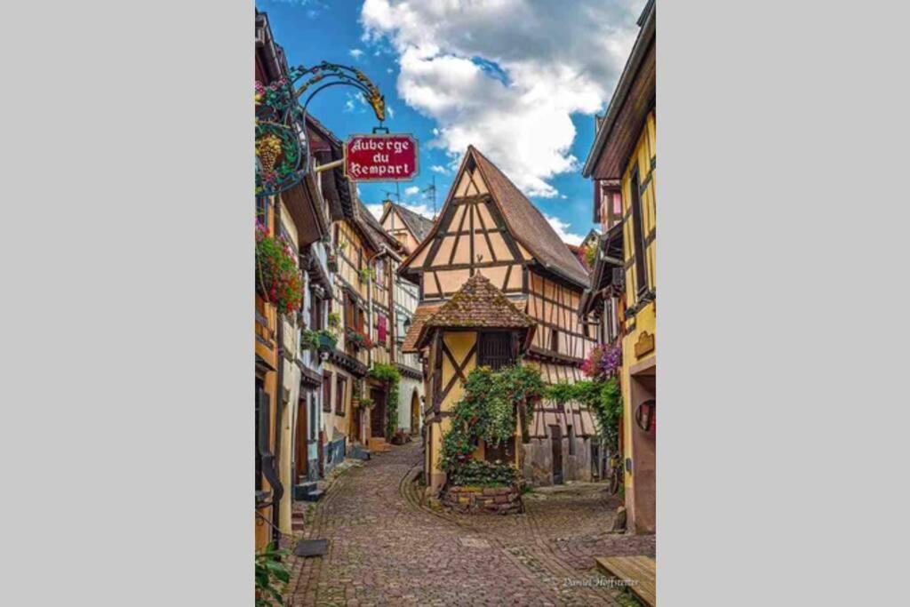 Coeur Alsace Apartamento Colmar Exterior foto