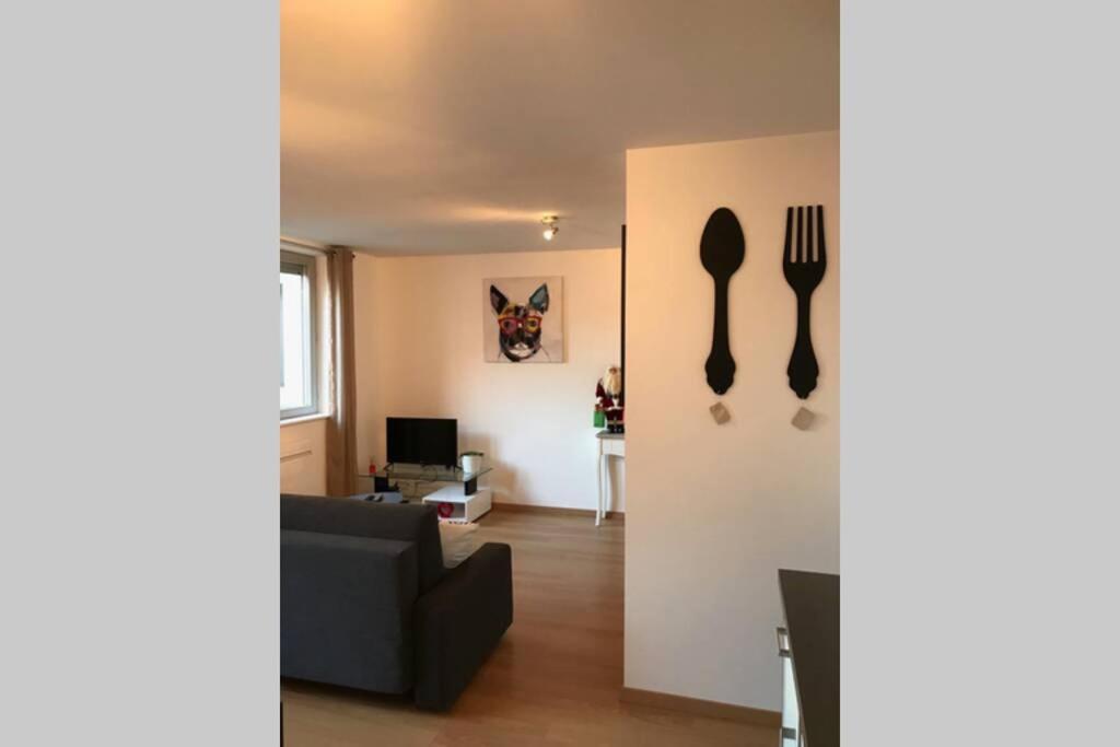 Coeur Alsace Apartamento Colmar Exterior foto
