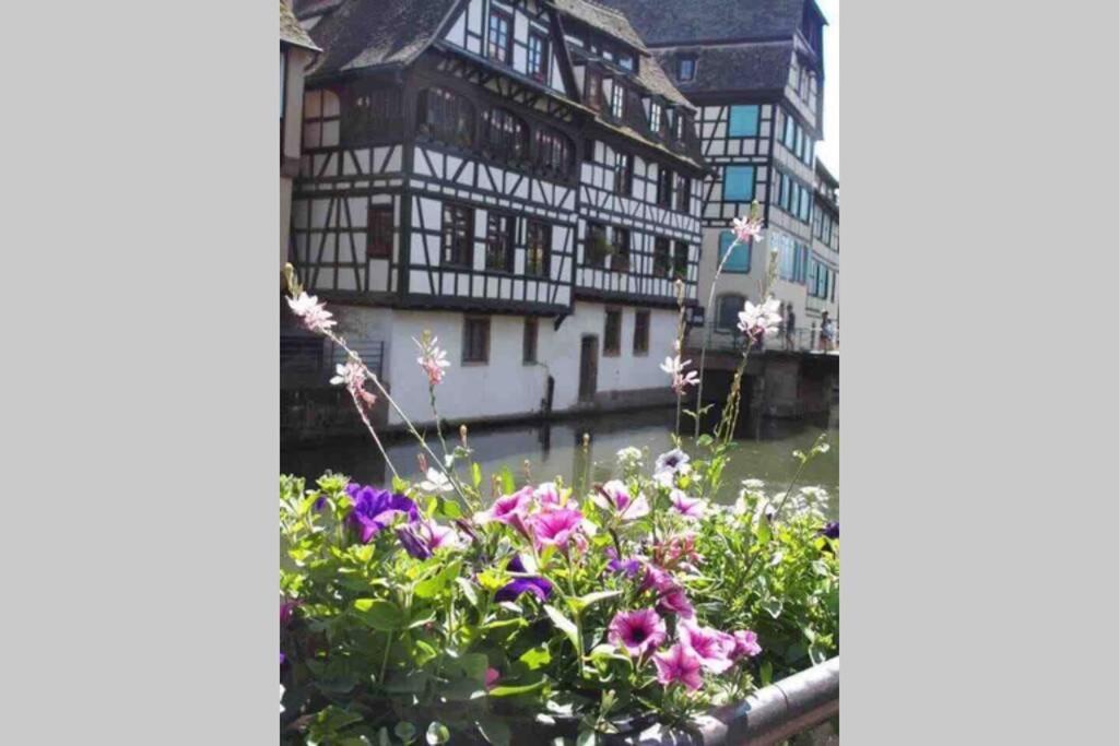 Coeur Alsace Apartamento Colmar Exterior foto